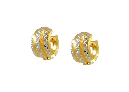 Dual Tone Plated | Fashion Earrings